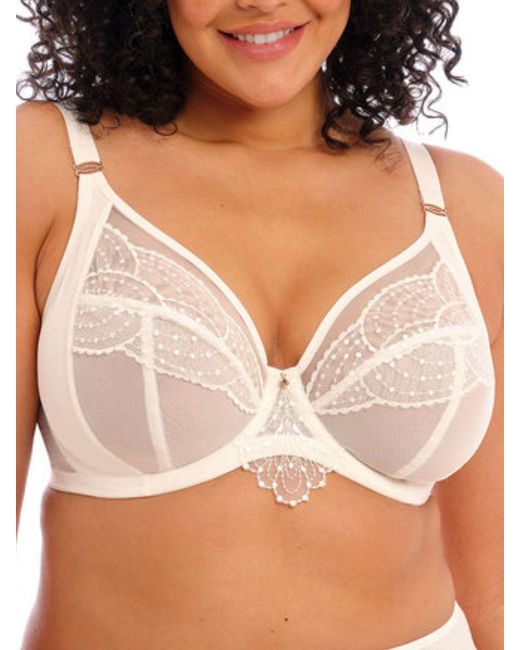 Elomi Brown Priya Plunge Bra
