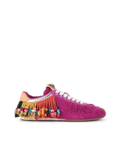 Kurt Geiger Pink Kurt Geiger Trainers Fuchsia Suede Leather Islington