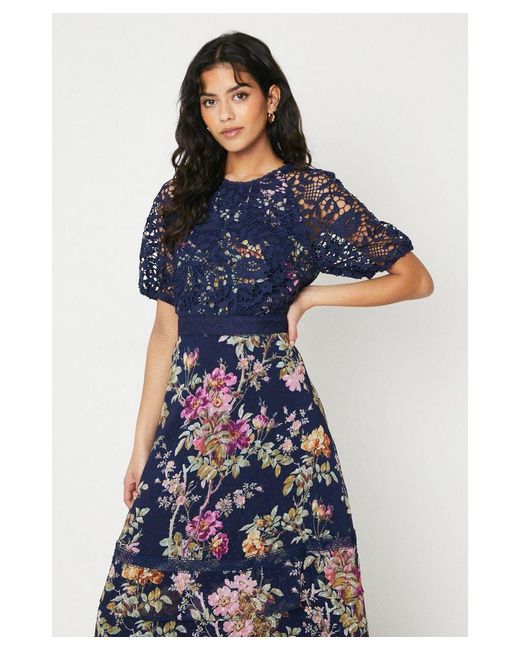 Oasis Blue Petite Occasion Floral Lace Bodice Midi Dress