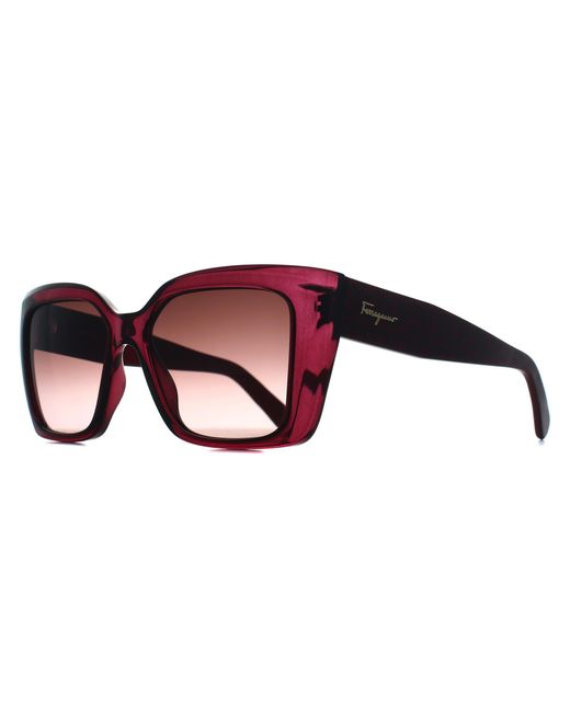 Ferragamo Brown Square Transparent Cyclamen Gradient Sf1042S