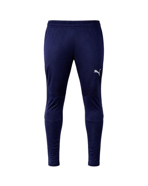 PUMA Blue Teamfinal Track Pants for men