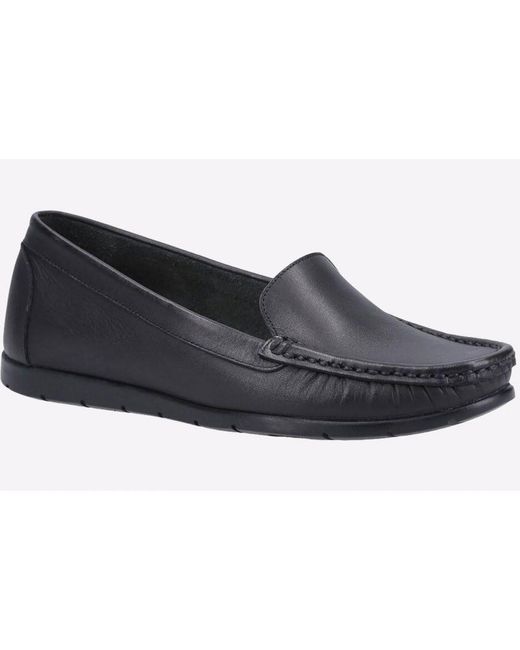 Fleet   Foster Black Tiggy