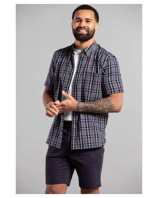 French Connection Gray Cotton Short Sleeve Check Shirt for men