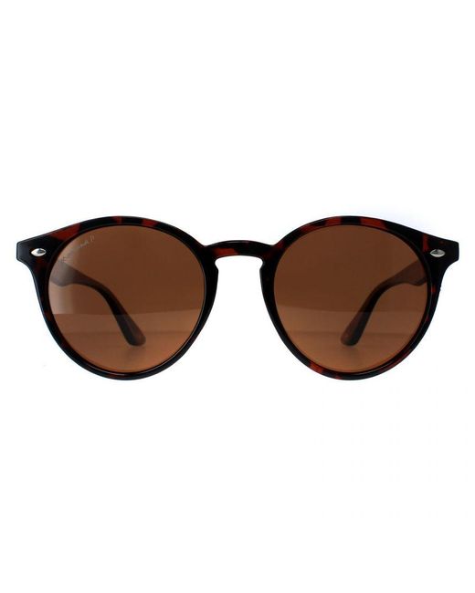 Montana Brown Round Tortoise Polarized Mp20B