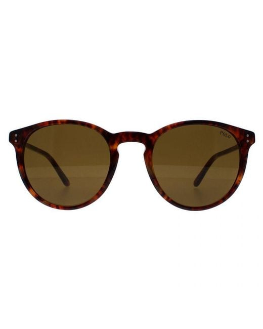 Polo Ralph Lauren Brown Round Havana Sunglasses