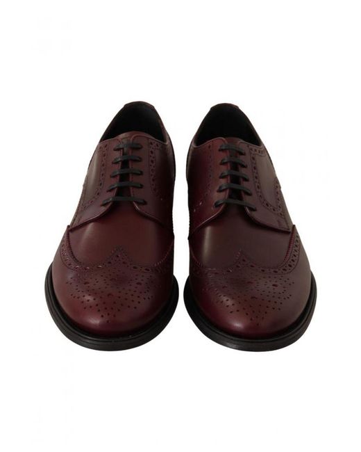 Dolce & Gabbana Brown Bordeaux Leather Oxford Wingtip Formal Shoes for men