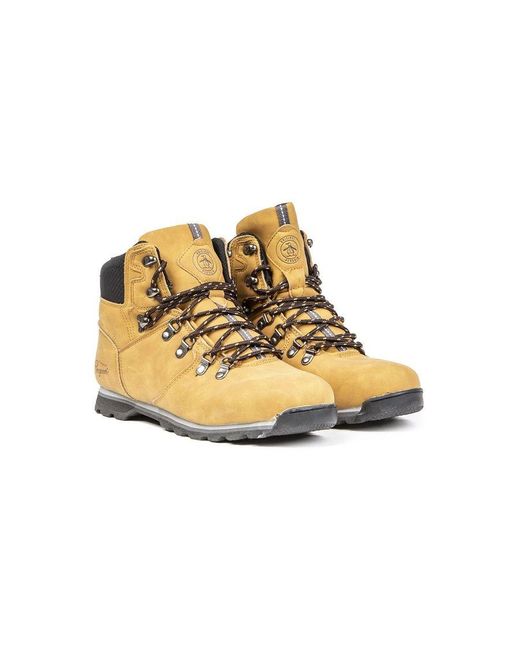 Original Penguin Natural Elder for men