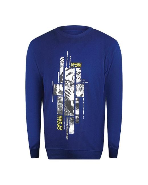 Roberto Cavalli Blue Splintered Tiger Graphic Iris Sweatshirt Cotton for men
