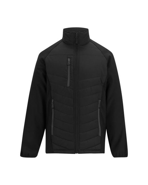 Regatta Black Full Zip Padded Jacket /Ash) for men