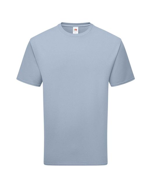 Fruit Of The Loom Blue Adult Pure Cotton T-Shirt (Mineral)