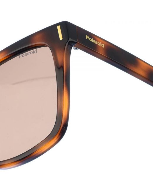 Polaroid Brown Sunglasses Pld6192S