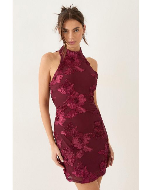 MissPap Textured Floral High Neck Mini Dress