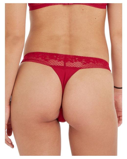 Tommy Hilfiger Red Ditsy Lace Thong