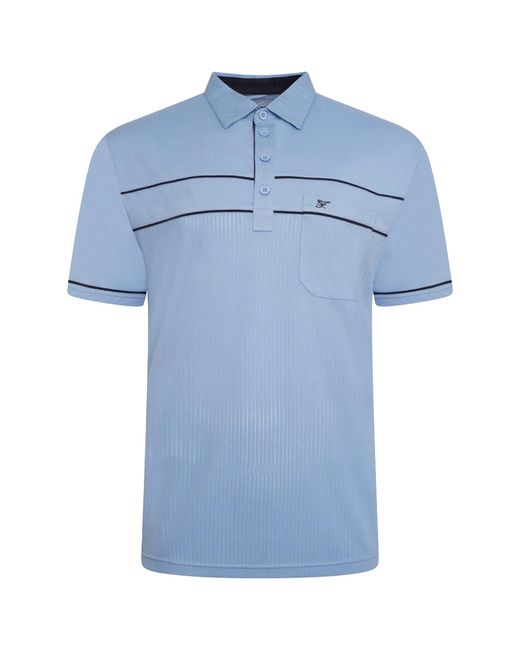 Forge Blue Plus Size Polo Shirt for men