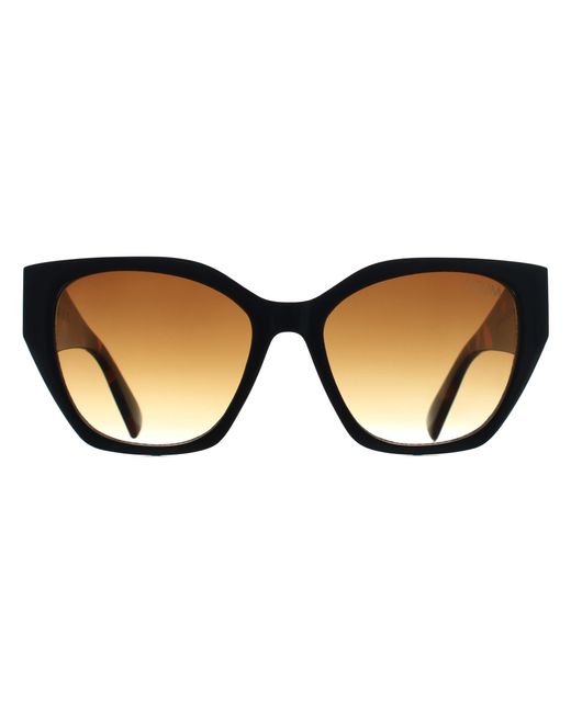 Atum Brown Cat Eye Shiny And Havana Gradient Zenith