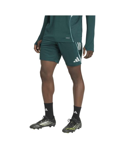 Adidas Green Afc Tr Sho for men