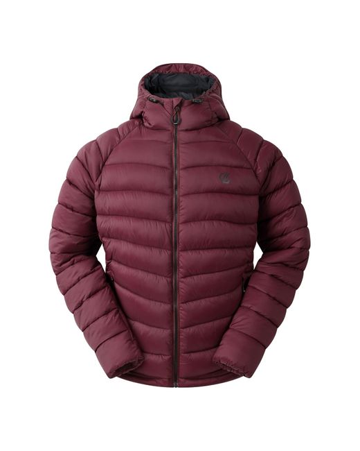 Dare 2b Red Torrek Mountain Baffled Padded Jacket (Fig) for men
