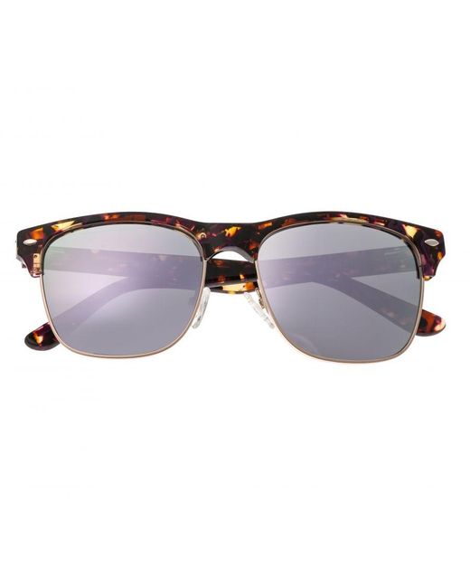 Sixty One Brown Waipio Polarized Sunglasses