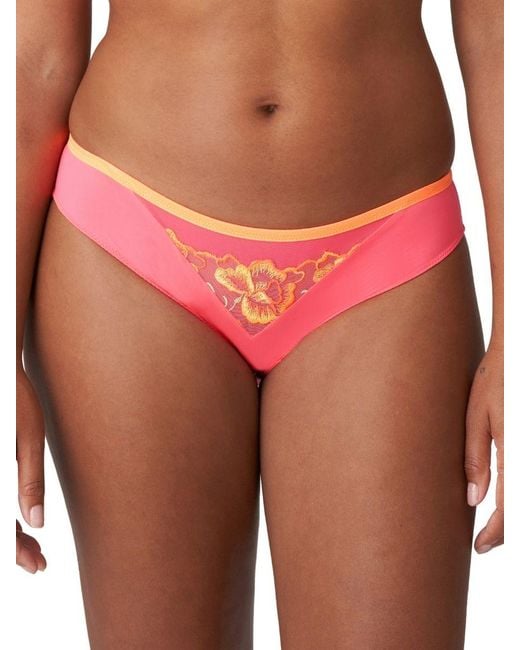 Primadonna Red Devdaha Rio Briefs