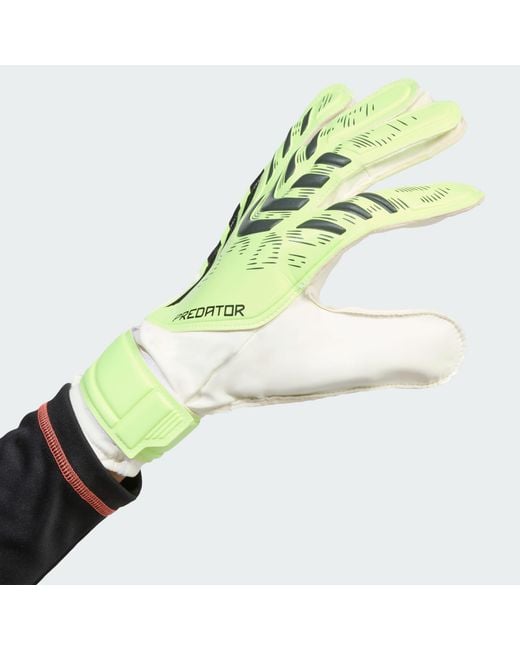 Adidas Originals Green Predator Training Goalkeeper Gloves