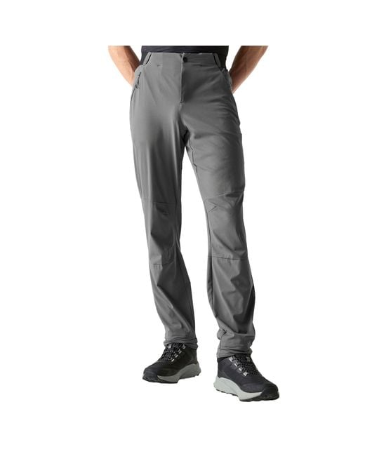 Dare 2b Gray Torrek Lite Walking Trousers (Magnet) for men
