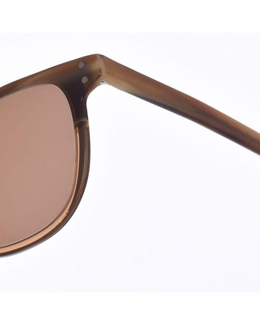 Zen Brown Z434 Square Shape Acetate Sunglasses