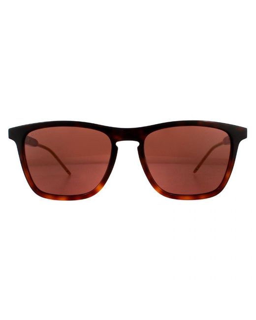 Gucci Brown Sunglasses Gg0843S 002 Havana for men
