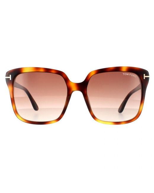 Tom Ford Brown Rectangle Blonde Havana Gradient Sunglasses