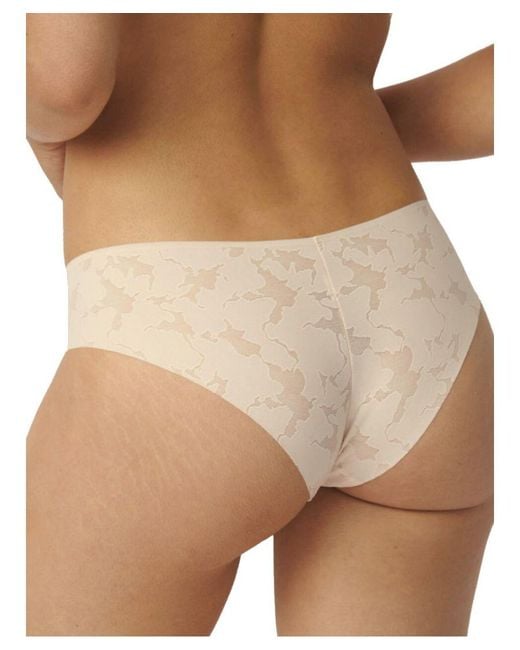 Sloggi Brown Zero Lace 2.0 Hipster Briefs