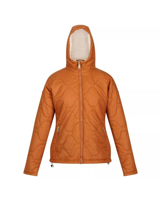 Regatta Orange Ladies Ellerie Lightweight Padded Jacket (Copper Almond)