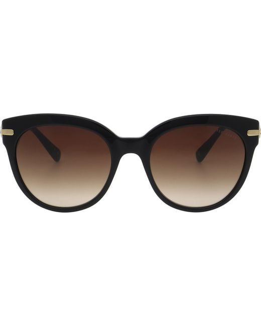 Ted Baker Brown Layla Sunglasses for men