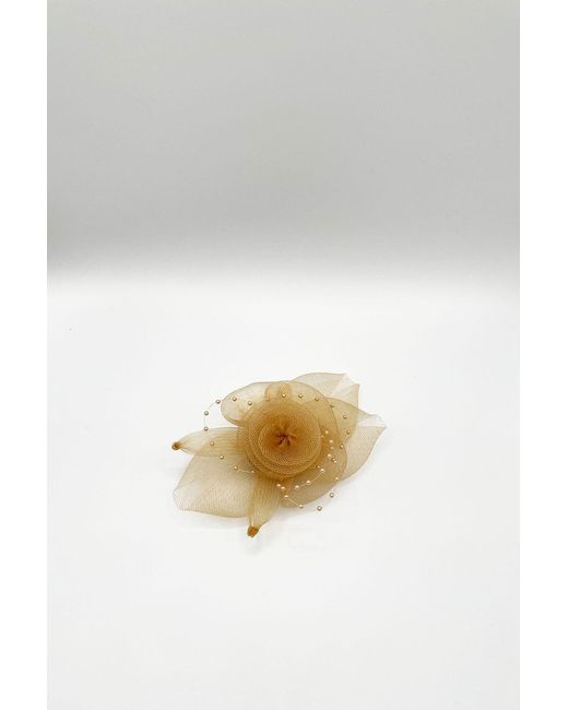 SVNX Natural Rosette Fascinator & Brooch