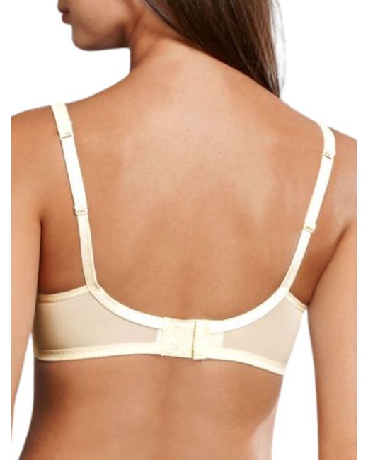 Rosa Faia Brown Lace Rose Contour Soft Bra