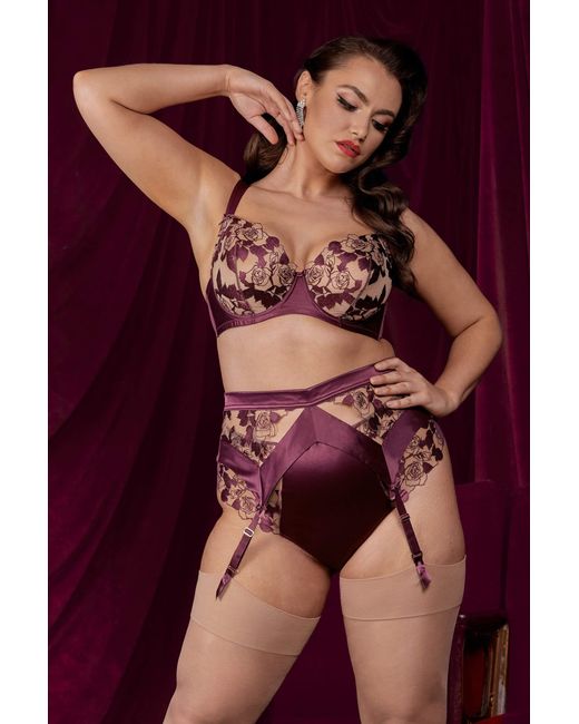 Dita Von Teese Lingerie Purple Rosabelle Dark Cherry Curve Suspender Belt