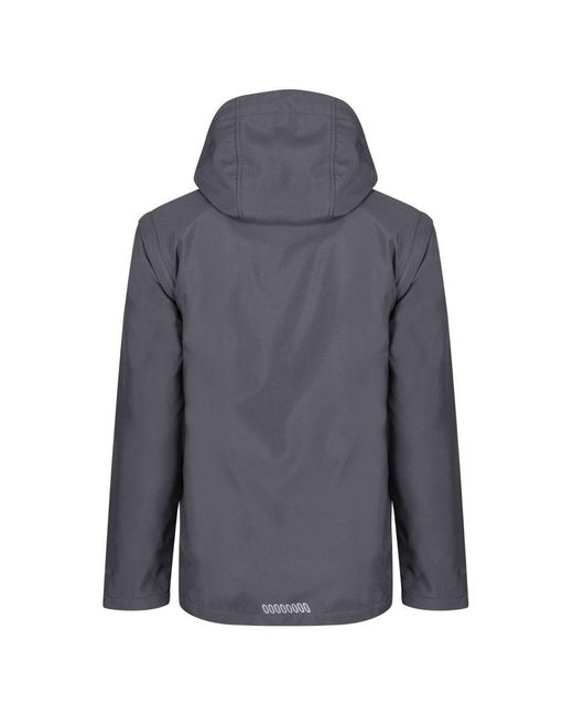 Regatta Blue Erasmus 4 for men