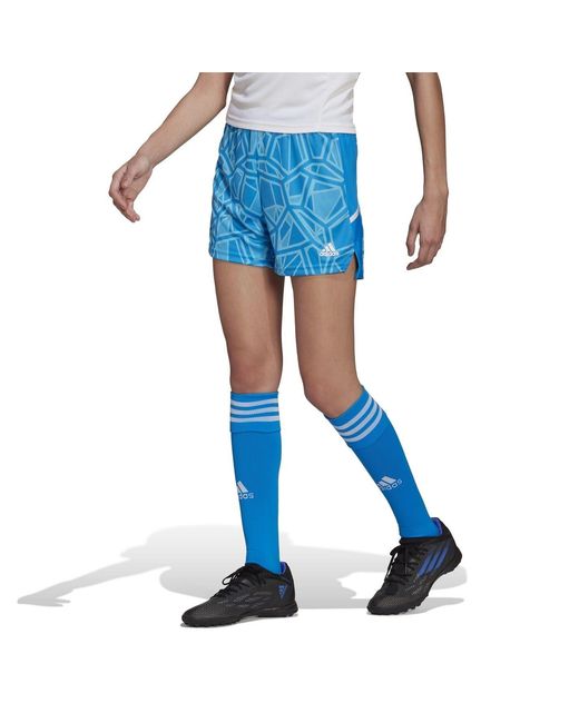 Adidas Blue Ls Goal Jersy for men