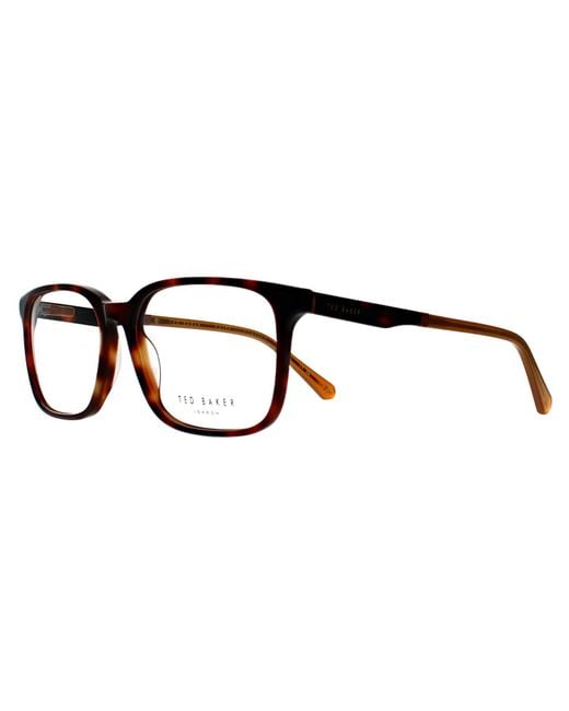 Ted Baker Brown Square Tortoise Tb8249 Farr for men
