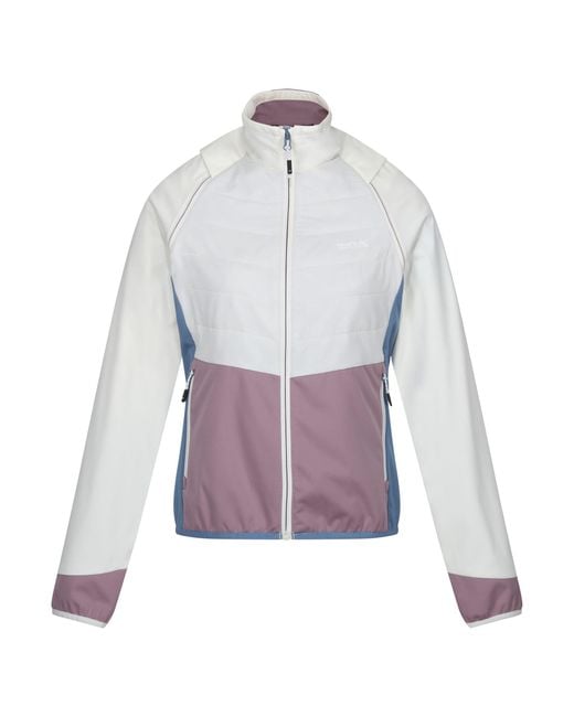 Regatta Purple Ladies Steren Ii Hybrid Jacket /Heather)
