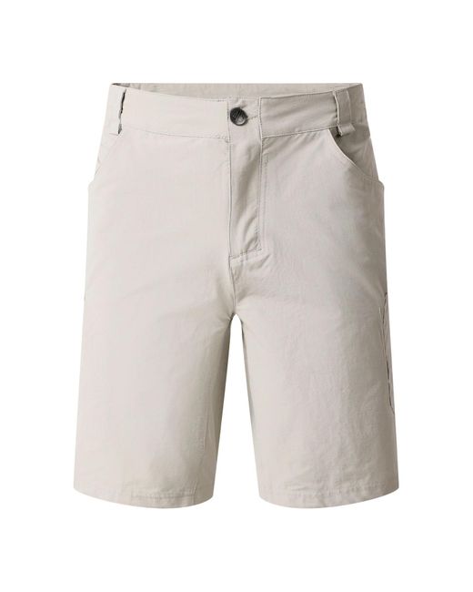 Dare 2b Gray Tuned for men