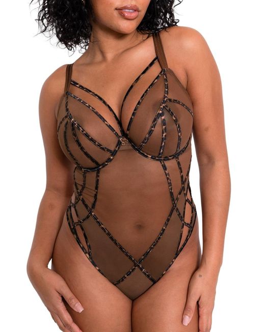 Curvy Kate Brown Senses Plunge Bodysuit