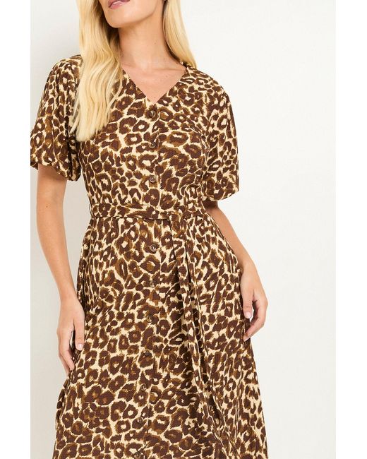 Wallis Brown Petite Leopard Jersey Button Midi Dress