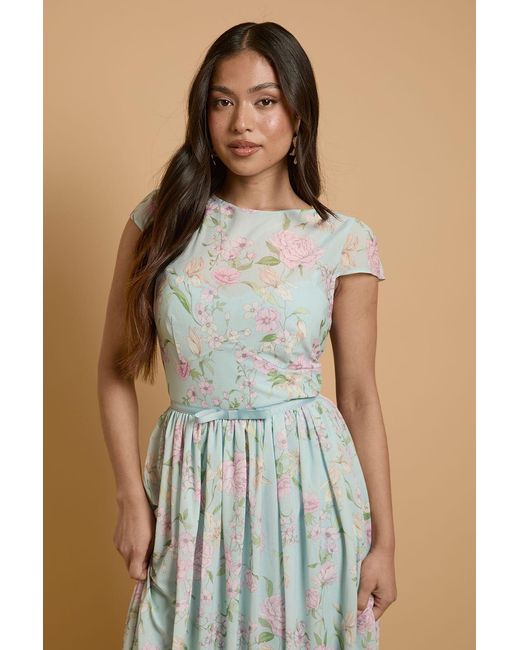Oasis Blue Petite Cap Sleeve Hydrangea Mesh Maxi Dress