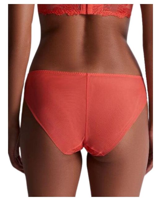 Aubade Red Softessence Brazilian