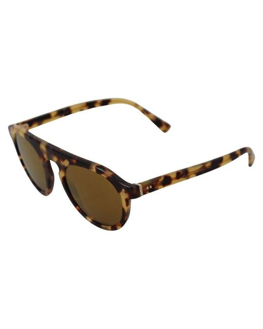 Dolce & Gabbana Brown Gorgeous Oval Sunglasses With Lenses And Tortoiseshell Frames
