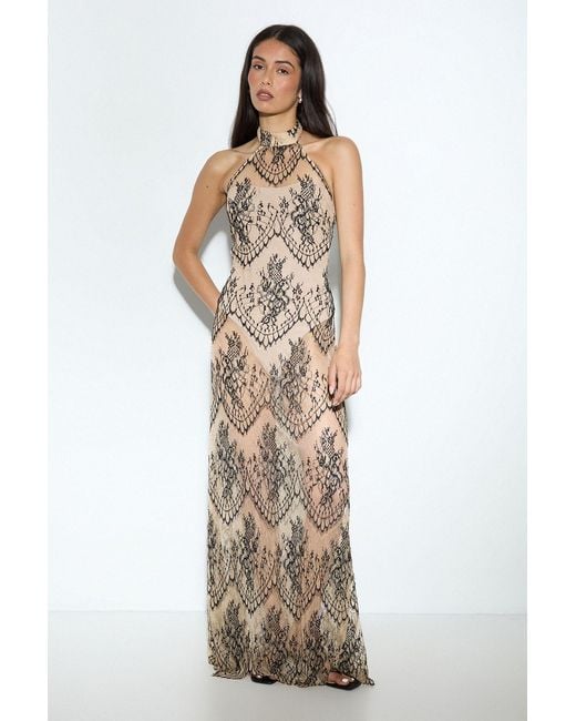 MissPap Metallic Premium Sheer Lace Maxi Dress