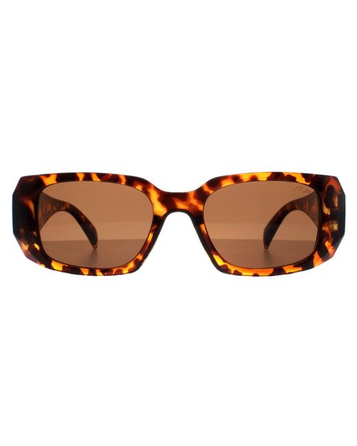 Atum Brown Rectangle Shiny Havana Nyx