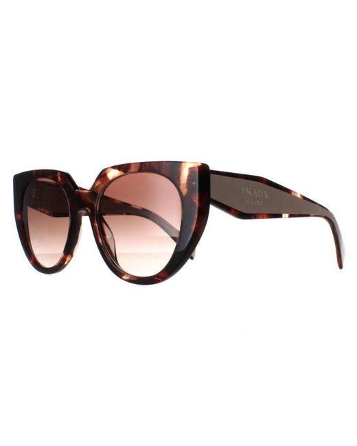 Prada Brown Cat Eye Caramel Tortoise And Powder Gradient Pr14Ws
