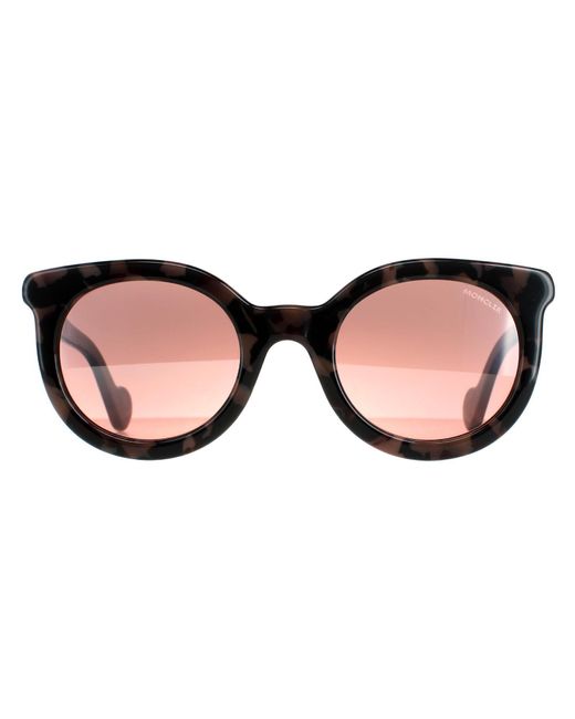 Moncler Brown Round Coloured Havana Bordeaux Mirror Ml0015