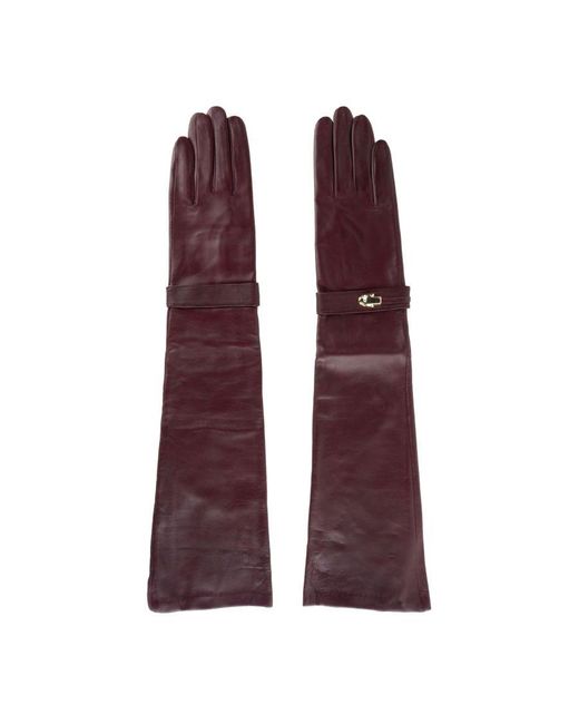 Class Roberto Cavalli Purple Luxurious Leather Glove