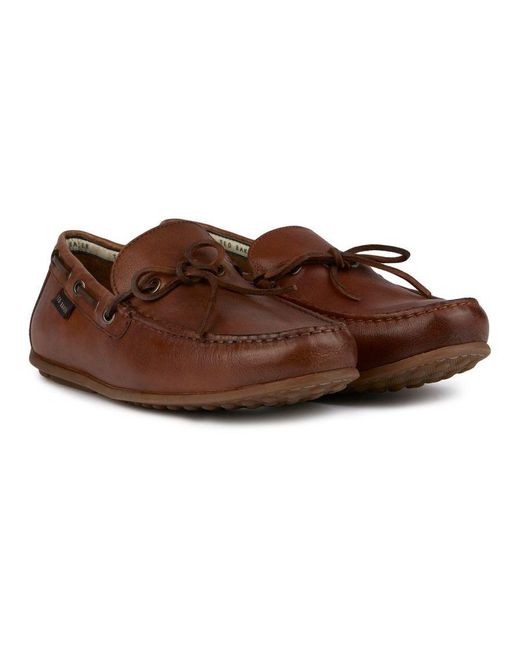 Ted Baker Brown Kenny Shoes for men